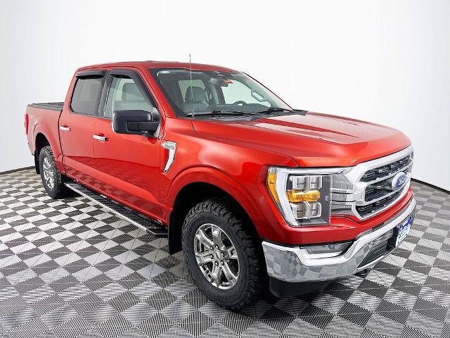 2023 Ford F-150 XLT for sale in Bangor, ME