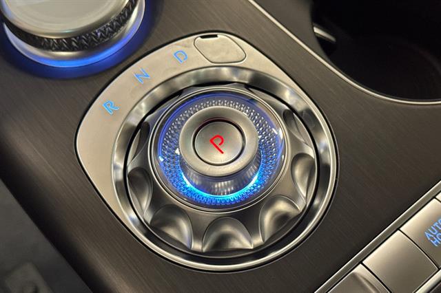 2026 Genesis GV60 19