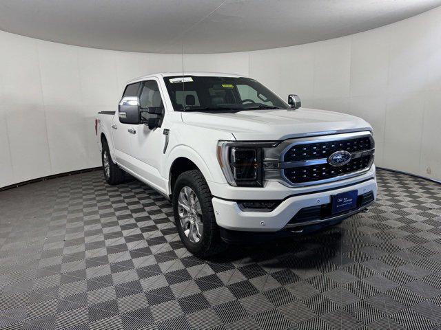 2021 Ford F-150 Platinum 2021 Ford F-150 Platinum