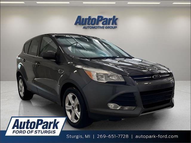 2016 Ford Escape SE for sale in Sturgis, MI