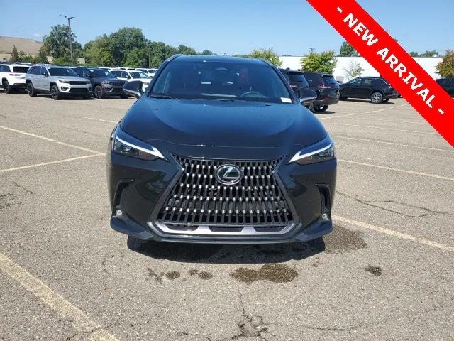 2024 Lexus NX 350h Premium
