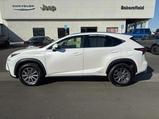 2019 Lexus NX 300h 2019 Lexus NX 300h
