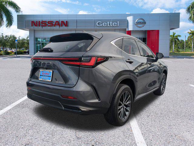 2024 Lexus NX NX 250