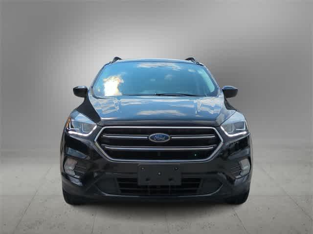 2019 Ford Escape SE 2019 Ford Escape SE