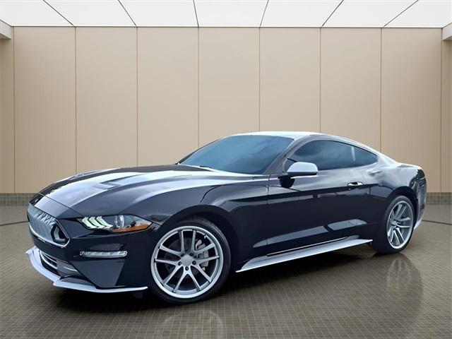 2022 Ford Mustang EcoBoost Fastback 2022 Ford Mustang EcoBoost Fastback