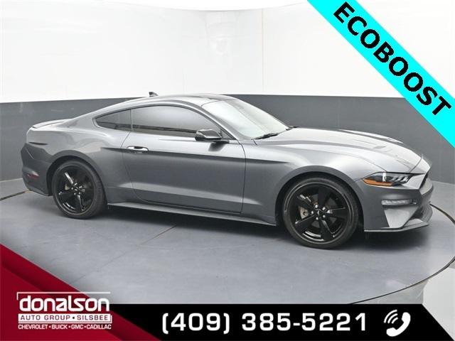 2023 Ford Mustang EcoBoost Fastback 2023 Ford Mustang EcoBoost Fastback