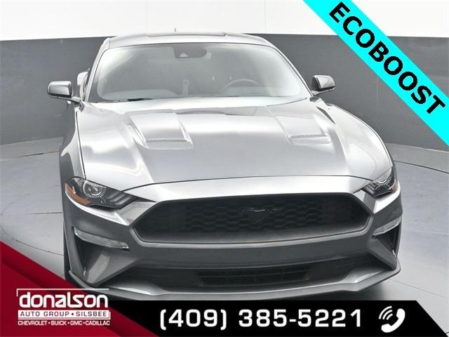 2023 Ford Mustang EcoBoost Fastback 2023 Ford Mustang EcoBoost Fastback