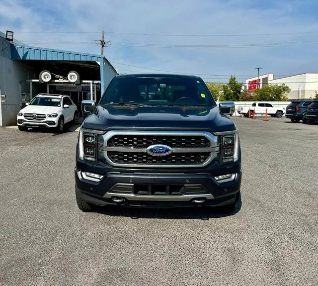 2021 Ford F-150 Platinum 2021 Ford F-150 Platinum