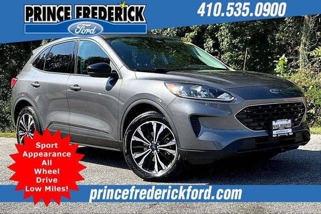 2022 Ford Escape SE 2022 Ford Escape SE