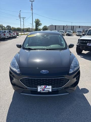 2022 Ford Escape SE for sale in Davenport, IA
