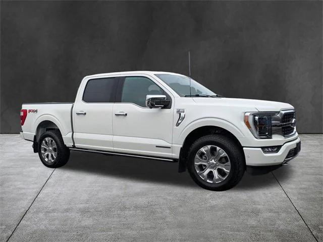 2023 Ford F-150 Platinum 2023 Ford F-150 Platinum