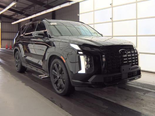2024 Hyundai Palisade XRT 2024 Hyundai Palisade XRT
