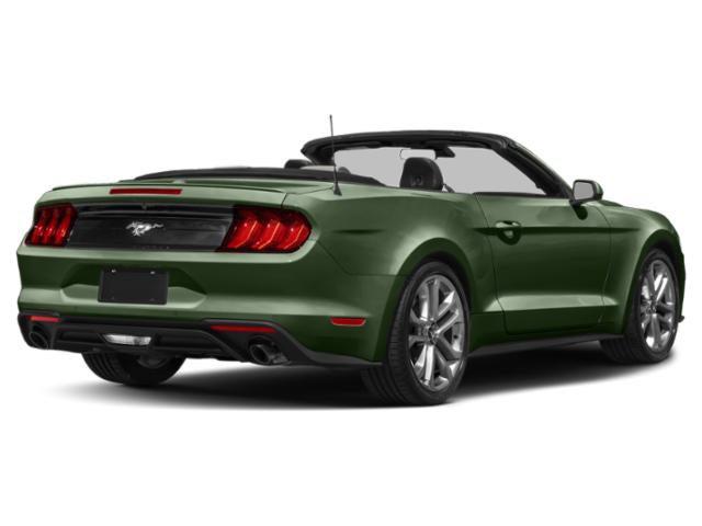 2023 Ford Mustang EcoBoost Premium Convertible 2023 Ford Mustang EcoBoost Premium Convertible