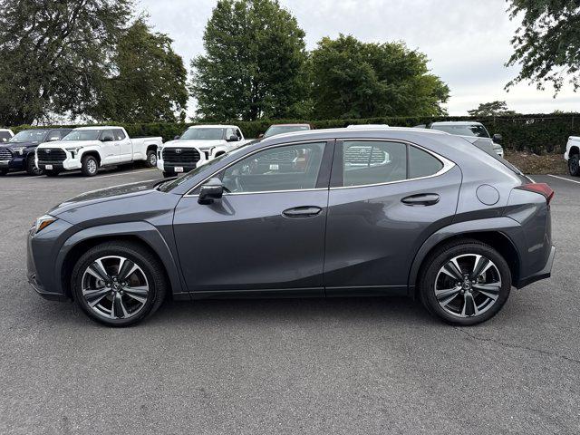 2025 Lexus 300 Premium