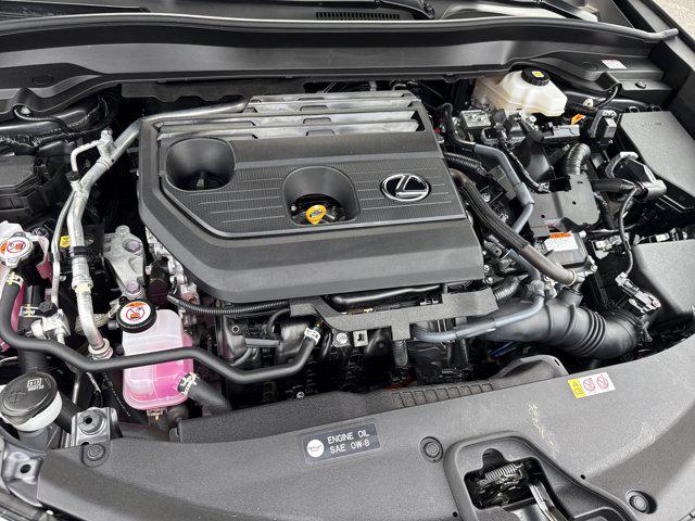 2025 Lexus 300 Premium