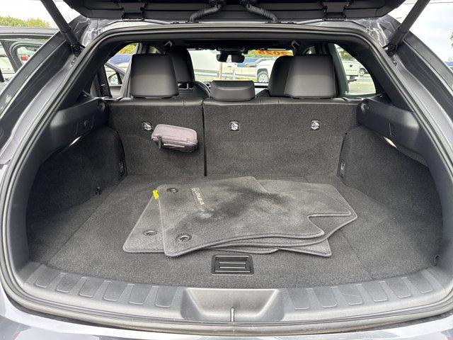 2025 Lexus 300 Premium