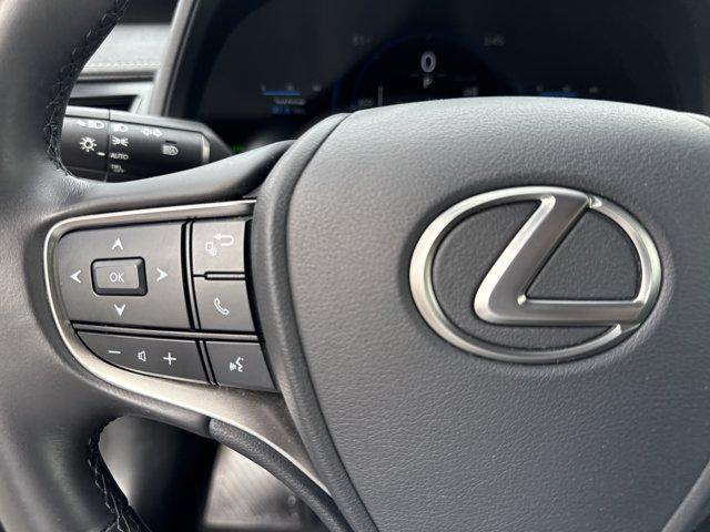 2025 Lexus 300 Premium