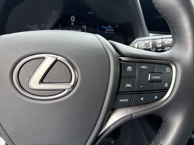 2025 Lexus 300 Premium