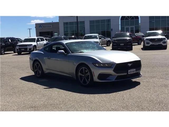 2024 Ford Mustang EcoBoost Premium Fastback 2024 Ford Mustang EcoBoost Premium Fastback