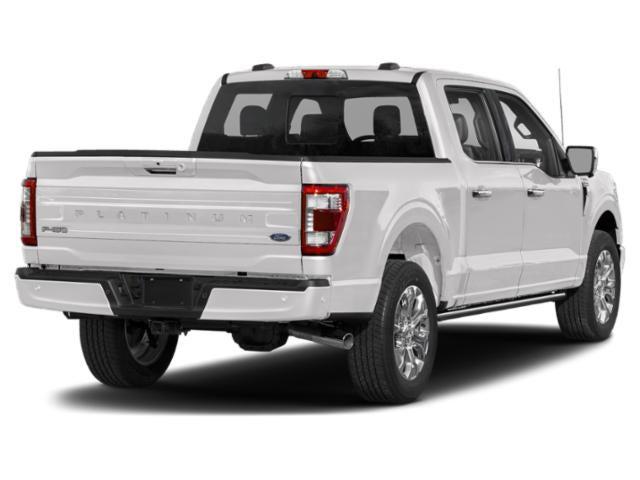 2021 Ford F-150 Platinum 2021 Ford F-150 Platinum