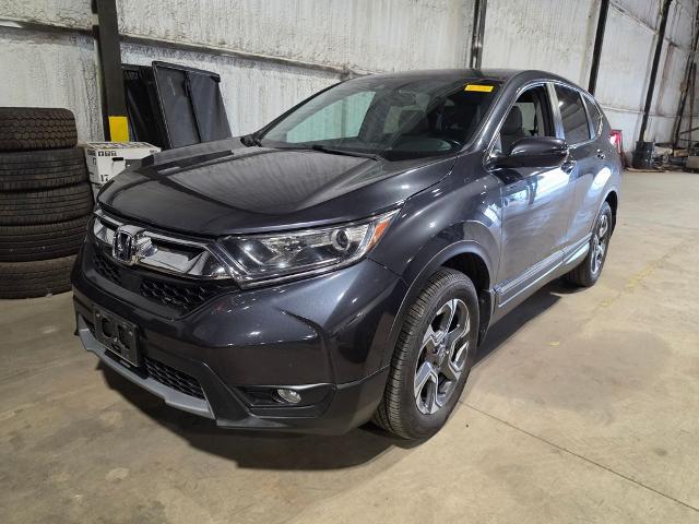 2019 Honda CR-V EX-L for sale near Chillicothe, OH