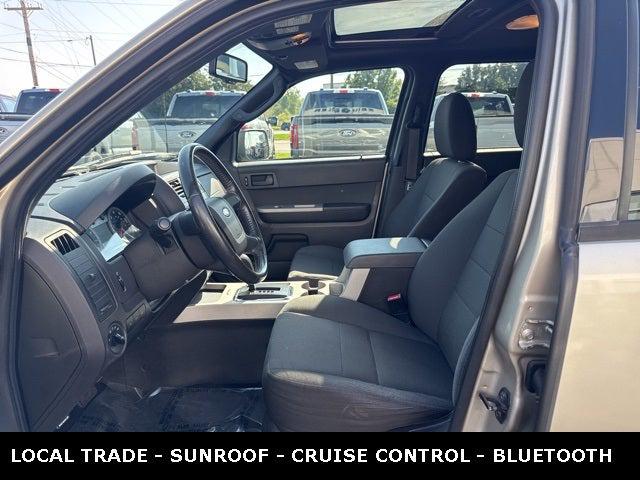 2010 Ford Escape XLT 2010 Ford Escape XLT