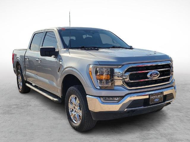 2023 Ford F-150 XLT for sale in Lamesa, TX