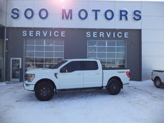 2023 Ford F-150 Tremor for sale in SAULT S MARIE, MI