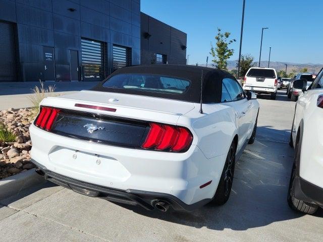 2022 Ford Mustang EcoBoost Premium Convertible 2022 Ford Mustang EcoBoost Premium Convertible