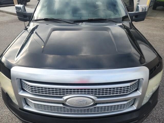 2009 Ford F-150 Platinum 2009 Ford F-150 Platinum