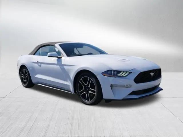 2019 Ford Mustang EcoBoost