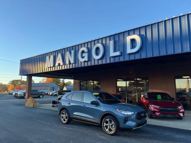 2025 Ford Escape ST-Line for sale in Clinton, IL