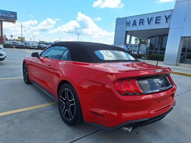 2019 Ford Mustang EcoBoost Premium 2019 Ford Mustang EcoBoost Premium