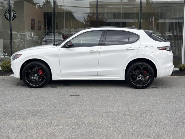 2025 Alfa Romeo Stelvio STELVIO TRIBUTO ITALIANO AWD