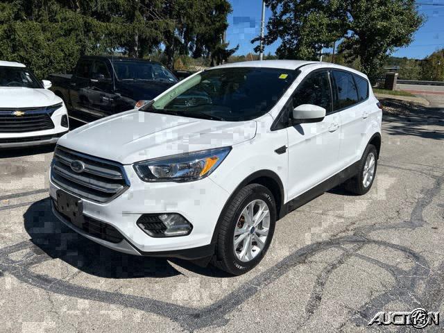 2019 Ford Escape SE 2019 Ford Escape SE