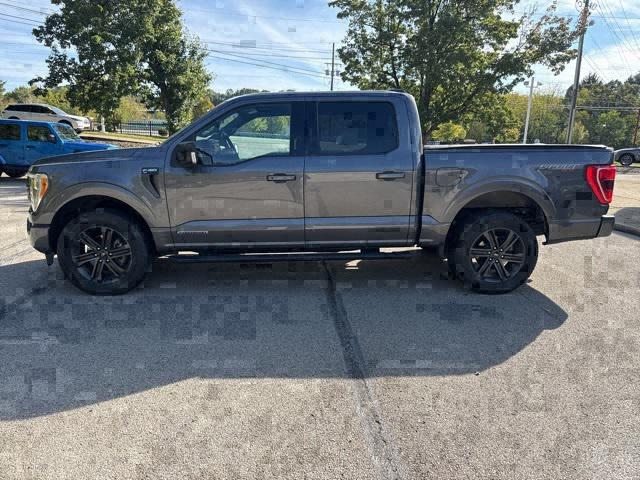 2021 Ford F-150 XLT 2021 Ford F-150 XLT