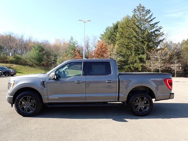 2021 Ford F-150 XLT 2021 Ford F-150 XLT