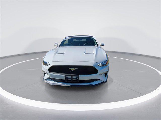 2019 Ford Mustang EcoBoost Premium 2019 Ford Mustang EcoBoost Premium