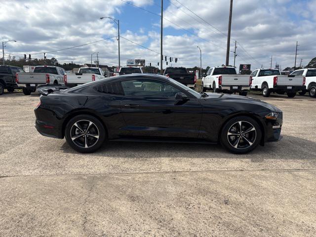 2022 Ford Mustang EcoBoost Fastback 2022 Ford Mustang EcoBoost Fastback