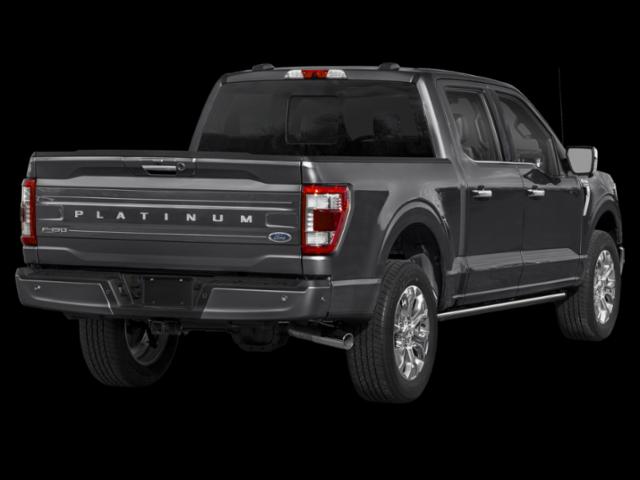 2023 Ford F-150 Platinum 2023 Ford F-150 Platinum