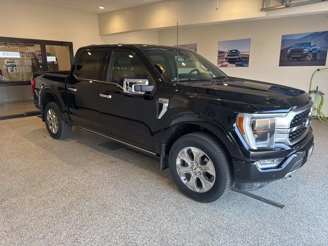 2022 Ford F-150 Platinum 2022 Ford F-150 Platinum