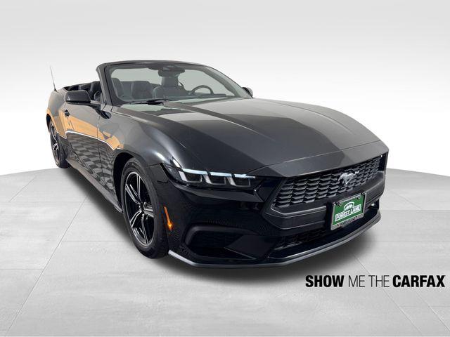 2024 Ford Mustang EcoBoost Convertible 2024 Ford Mustang EcoBoost Convertible