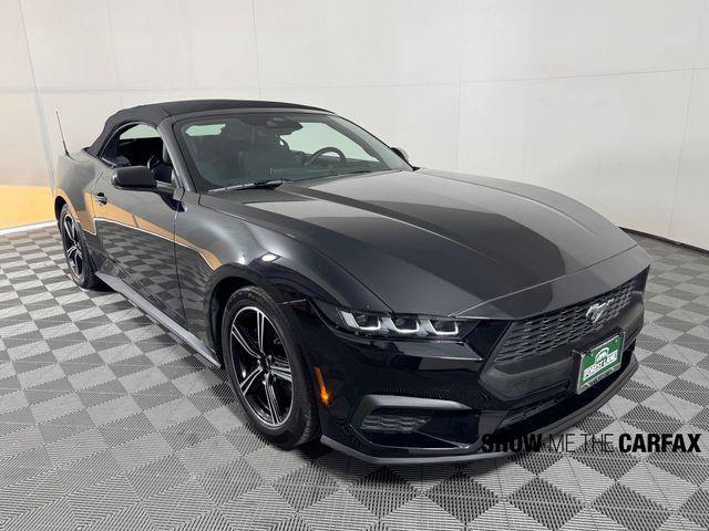2024 Ford Mustang EcoBoost Convertible 2024 Ford Mustang EcoBoost Convertible