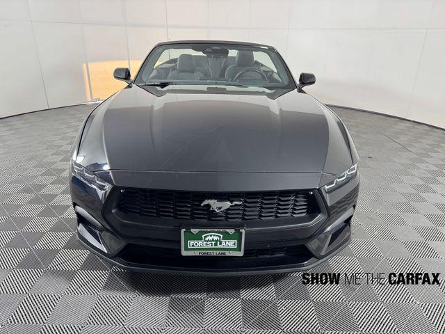 2024 Ford Mustang EcoBoost Convertible 2024 Ford Mustang EcoBoost Convertible