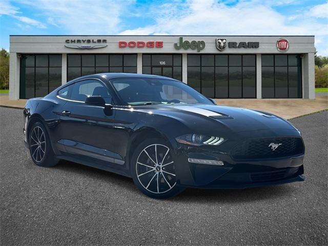 2021 Ford Mustang EcoBoost Fastback 2021 Ford Mustang EcoBoost Fastback