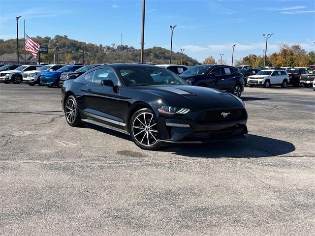 2021 Ford Mustang EcoBoost Fastback 2021 Ford Mustang EcoBoost Fastback