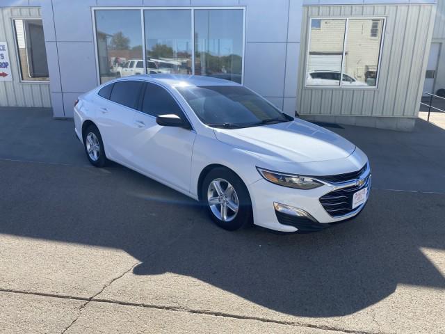 2019 Chevrolet Malibu 1FL