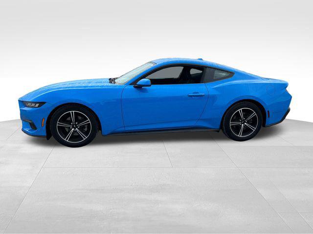 2024 Ford Mustang EcoBoost Fastback 2024 Ford Mustang EcoBoost Fastback