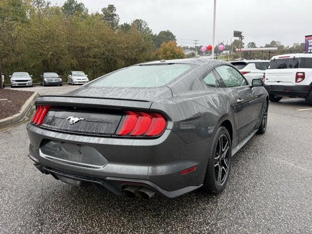 2019 Ford Mustang EcoBoost 2019 Ford Mustang EcoBoost