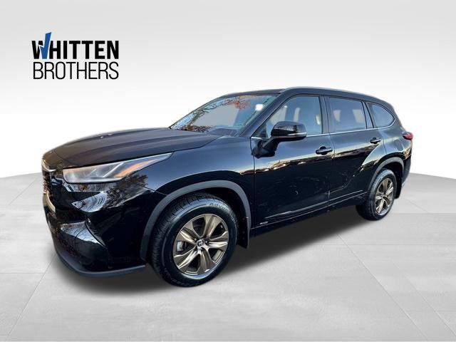 2023 Toyota Highlander Hybrid XLE Bronze 2023 Toyota Highlander Hybrid XLE Bronze